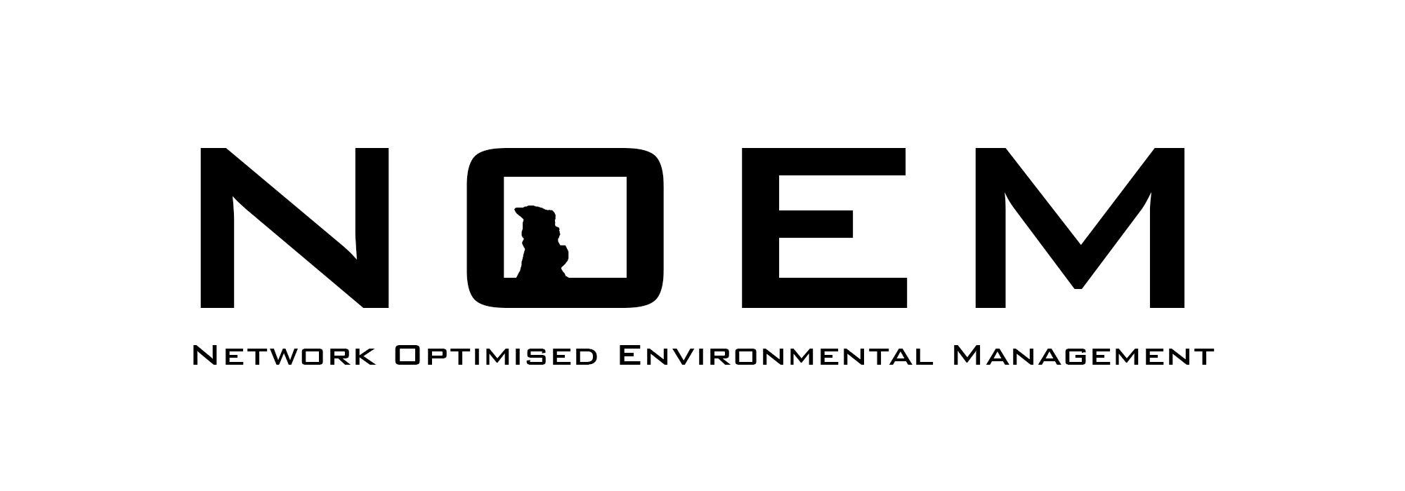 NOEM Logo